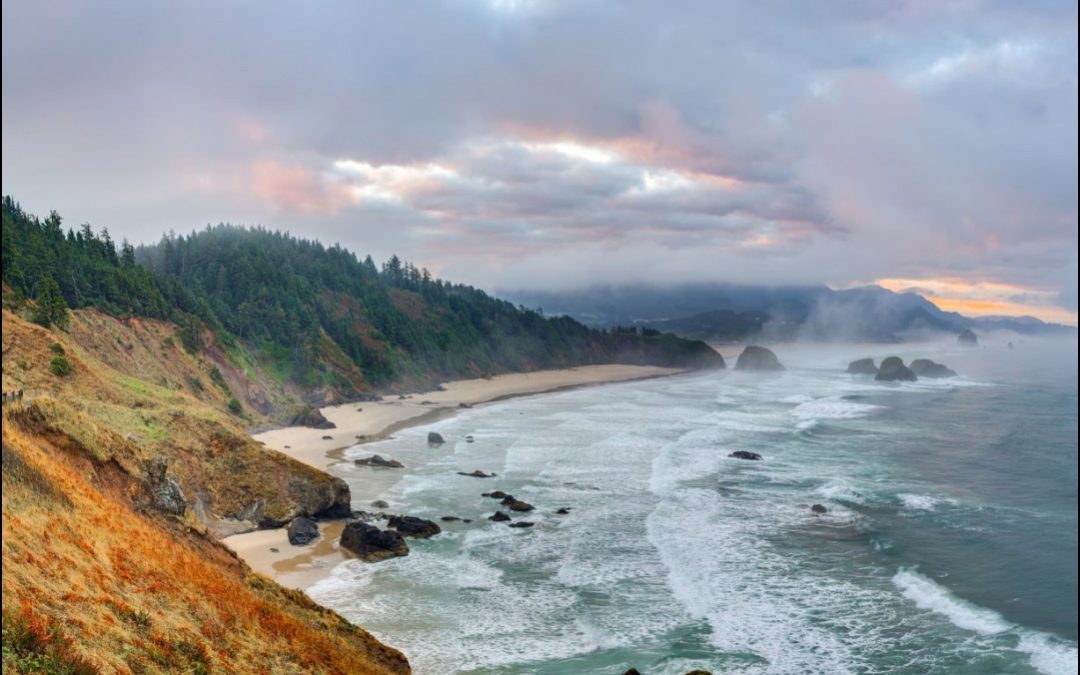 A photo of the Oregon Coast, with waves crashing against the cliffs