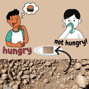 Teen boy who was hungry loses his appetite when served dirt with rocks!